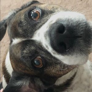 Meet your Posher, Amtul